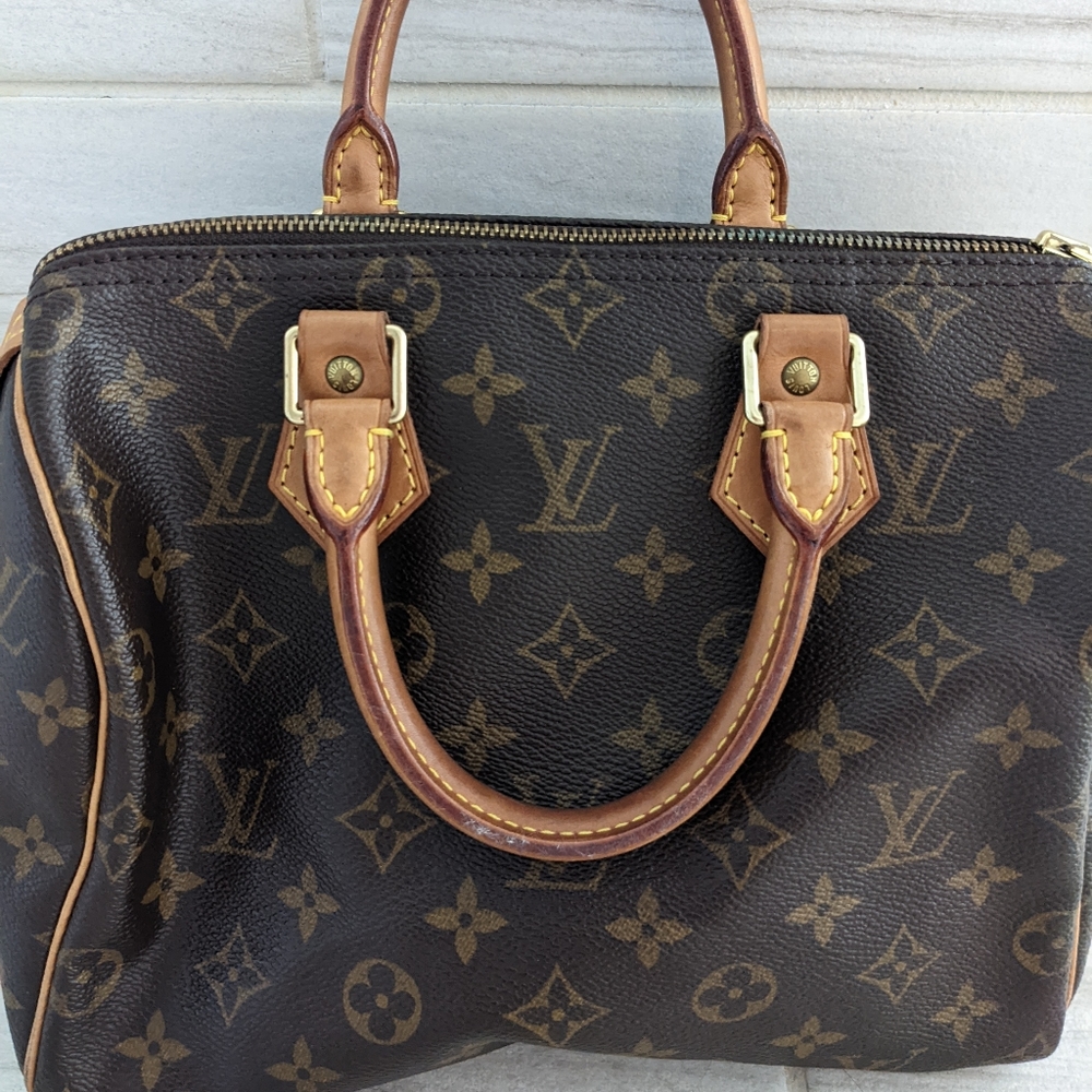 Louis Vuitton speedy small